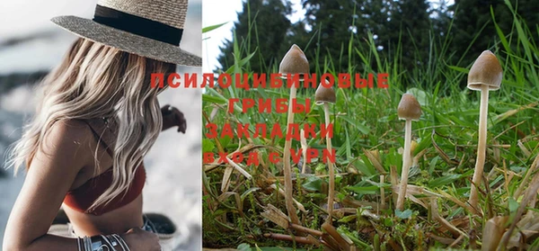 дурь Белокуриха