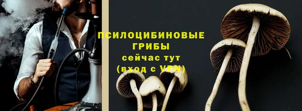 дурь Белокуриха