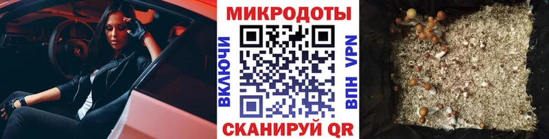 Псилоцибиновые грибы Psilocybine cubensis  где купить наркоту  Сланцы 